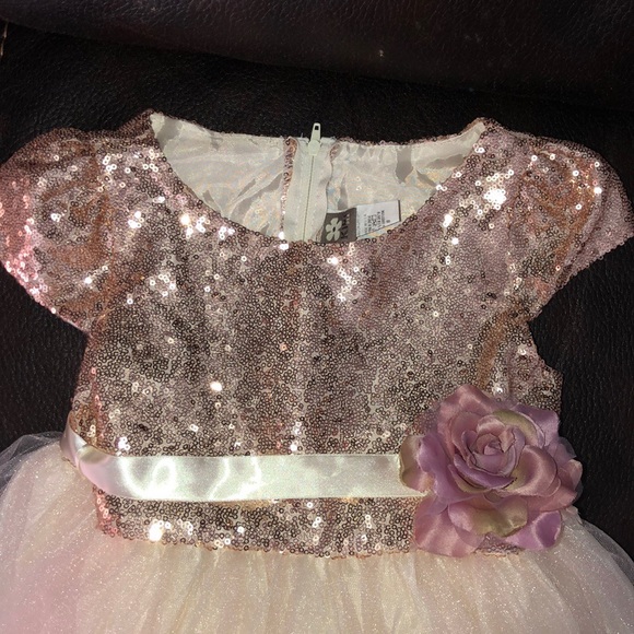 Rose Gold Sequins bodice & Tulle Dress - Picture 3 of 8